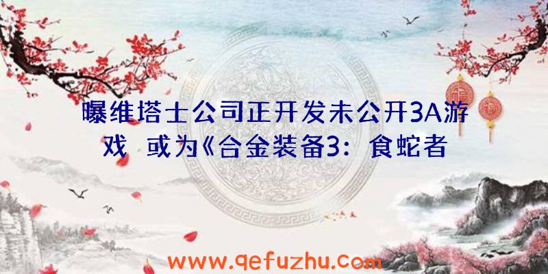 曝维塔士公司正开发未公开3A游戏